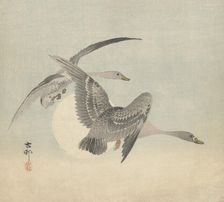Two geese in flight. Creator: Ohara, Koson (1877-1945)