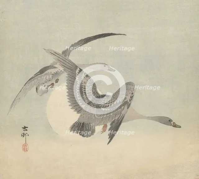 Two geese in flight. Creator: Ohara, Koson (1877-1945).