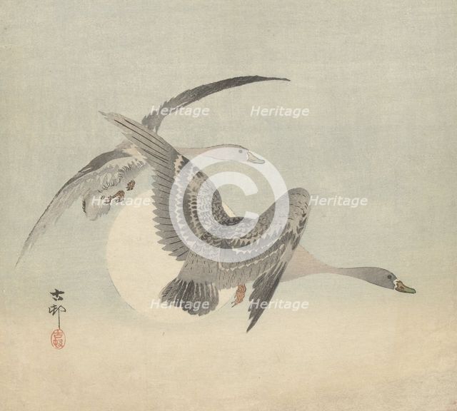 Two geese in flight. Creator: Ohara, Koson (1877-1945).