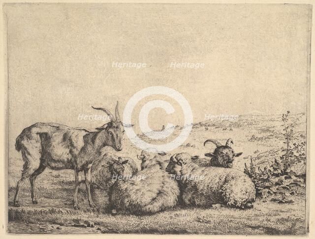 Two Goats and Three Sheep, 1655. Creator: Karel Du Jardin.