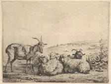 Two Goats and Three Sheep, 1655. Creator: Karel Du Jardin