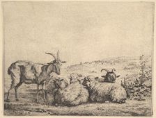 Two Goats and Three Sheep, 1655. Creator: Karel Du Jardin