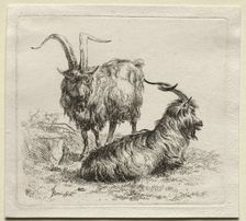 Two Goats. Creator: Nicolaes Berchem (Dutch, 1620-1683)