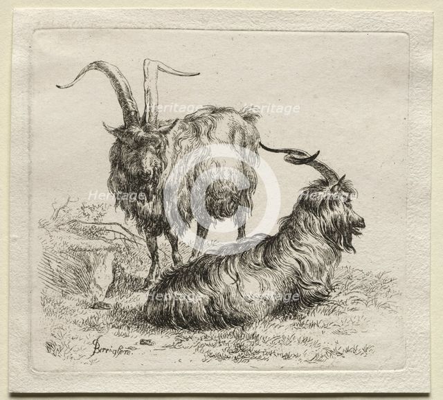 Two Goats. Creator: Nicolaes Berchem (Dutch, 1620-1683).