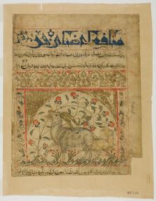 Two Goats from Manafi al-Hayawan (On the Usefulness of Animals) of Ibn Bakhtishu c.1300. Creator: Unknown