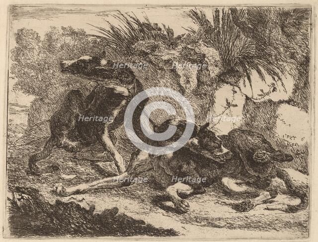 Two Greyhounds, Leashed and Facing Opposite Directions, 1642. Creator: Jan Fyt.