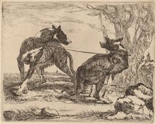 Two Greyhounds, Leashed and Facing Each Other, 1640. Creator: Jan Fyt