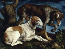 Two hunting dogs, 1548-1549. Creator: Bassano, Jacopo, il vecchio (ca. 1510-1592)