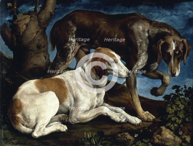 Two hunting dogs, 1548-1549. Creator: Bassano, Jacopo, il vecchio (ca. 1510-1592).