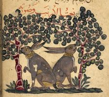 Two hares eating berries, 13th century. Creator: Unknown