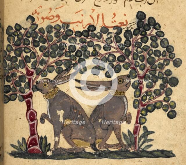 Two hares eating berries, 13th century. Creator: Unknown.