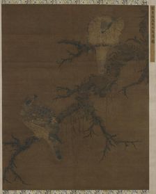 Two Hawks on a Barren Bough, Ming dynasty, 16th century. Creator: Unknown