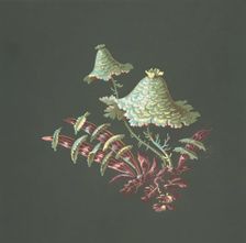 Two Hat-Shaped Chinoiserie Flowers with Fanciful Leaves, 19th century. Creator: Anon