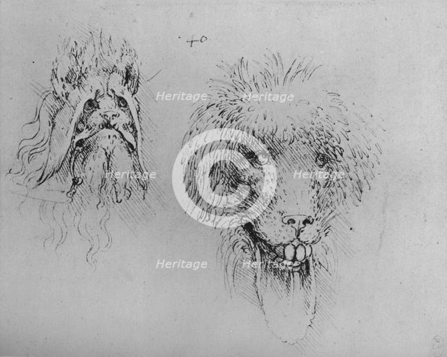 Two Heads of Monsters', c1480 (1945). Artist: Leonardo da Vinci.