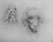 Two Heads of Monsters c1480 (1945). Artist: Leonardo da Vinci