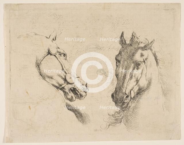 Two Horse Heads, ca. 1649. Creator: Stefano della Bella.