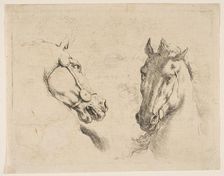 Two Horse Heads, ca. 1649. Creator: Stefano della Bella