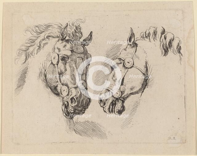 Two Horse Heads, probably 1649. Creator: Stefano della Bella.