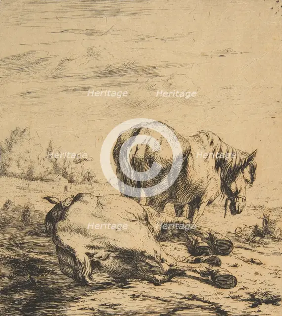 Two Horses, 1850. Creator: Charles Meryon.