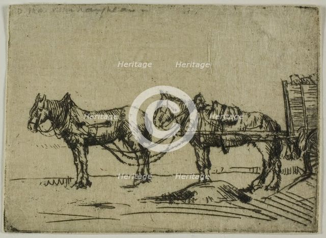 Two Horses, 1906. Creator: Donald Shaw MacLaughlan.