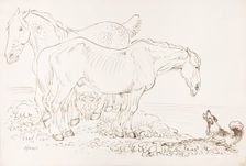 Two Horses and A Dog, 1825-1839. Creator: James Howe