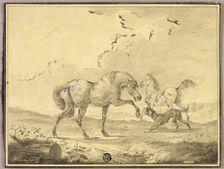 Two Horses Fighting Dog, n.d. Creator: Johann Georg Pforr