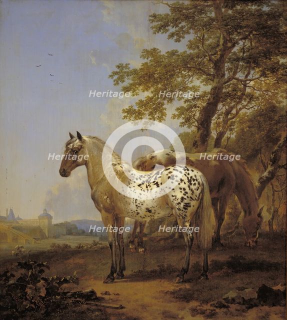 Two Horses in a Landscape, 1635-1683. Creator: Nicolaes Berchem.