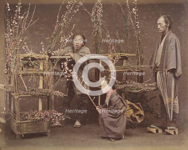 [Two Japanese Men and One Japanese Woman Posing with Flowering Branches], 1870s., Creator: Unknown.