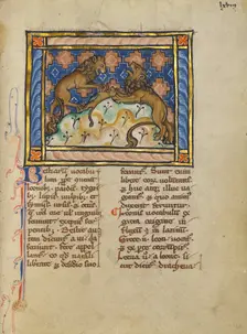 Two Lions; Bestiary, about 1270. Creator: Unknown