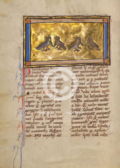 Two Pairs of Doves; Bestiary, about 1270. Creator: Unknown.
