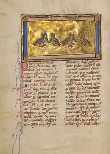 Two Pairs of Doves; Bestiary, about 1270. Creator: Unknown