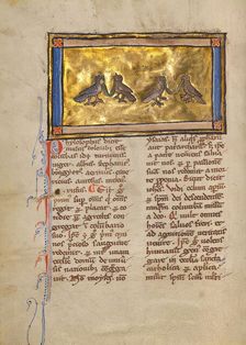 Two Pairs of Doves; Bestiary, about 1270. Creator: Unknown