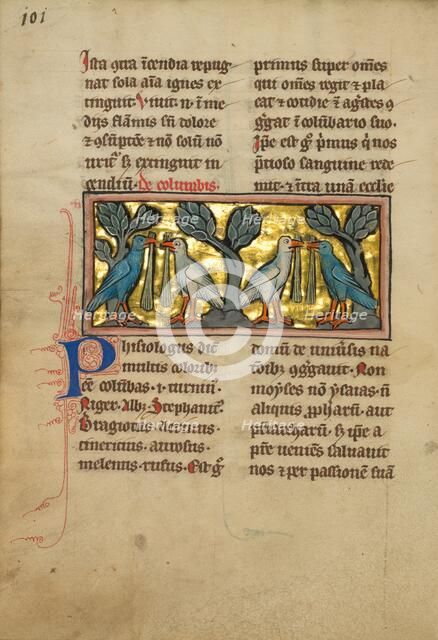 Two Pairs of Doves; De Natura Avium; De Pastoribus et Ovibus, 1277 or after. Creator: Unknown.