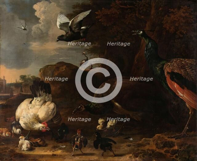 Two Peacocks Threatening a Hen with Chicks, Known as ‘The Threatened Hen’, 1681. Creator: Melchior d'Hondecoeter.