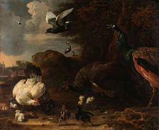 Two Peacocks Threatening a Hen with Chicks, Known as The Threatened Hen 1681. Creator: Melchior d'Hondecoeter