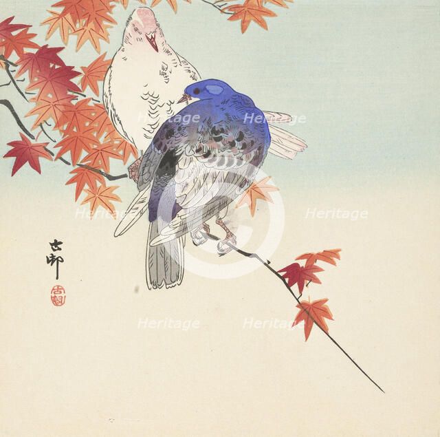 Two pigeons on autumnal branch. Creator: Ohara, Koson (1877-1945).