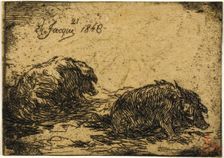 Two Pigs Lying Down, 1846. Creator: Charles Emile Jacque