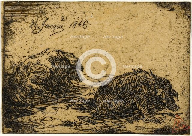 Two Pigs Lying Down, 1846. Creator: Charles Emile Jacque.