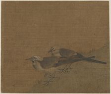 Two pied wagtails, Yuan dynasty, (14th century?). Creator: Unknown