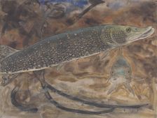 Two Pike in an aquarium, seen from the side and from the front, c.1876-c.1924. Creator: Gerrit Willem Dijsselhof