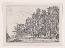 Two Plank Hedges, from Verscheyden Landtschapjes (Various Little Landscapes), Plate 6,..., ca. 1616. Creator: Willem Pietersz. Buytewech
