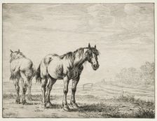 Two plough horses. Creator: Dirck Stoop (Dutch, c. 1618-1681)
