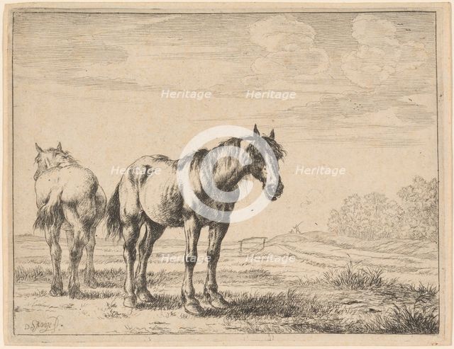 Two Plow Horses Standing in a Field, 1651. Creator: Dirck Stoop.