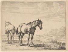 Two Plow Horses Standing in a Field, 1651. Creator: Dirck Stoop