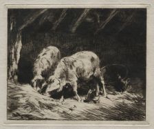 Two Porcs. Creator: Charles-Émile Jacque (French, 1813-1894)