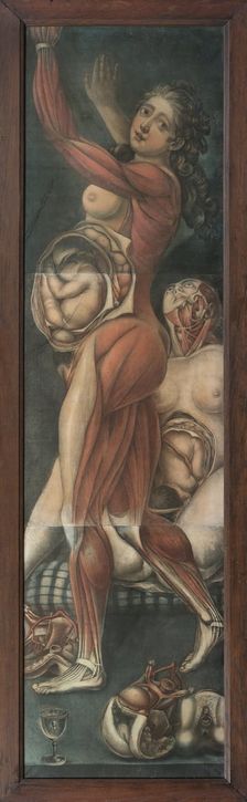 Two pregnant women