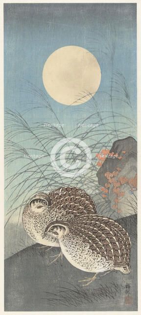 Two quail at full moon. Creator: Ohara, Koson (1877-1945).