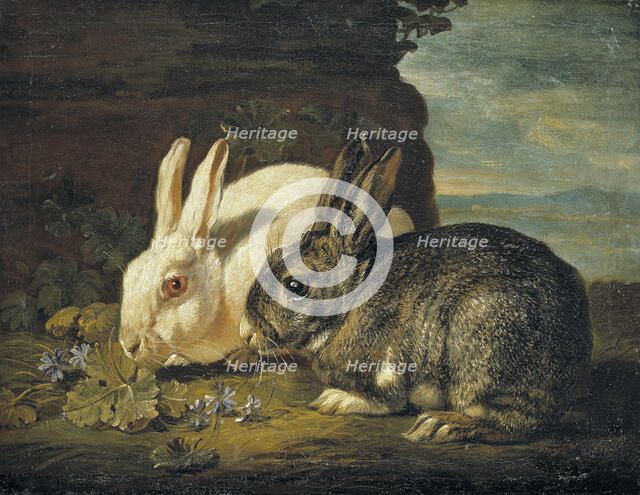 Two Rabbits, Detail from "Animal Piece", mid-late 17th century. Creator: David de Coninck.