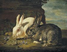 Two Rabbits, Detail from "Animal Piece", mid-late 17th century. Creator: David de Coninck