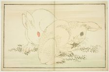 Two Rabbits, from The Picture Book of Realistic Paintings of Hokusai (Hokusai..., Japan, c1814. Creator: Hokusai